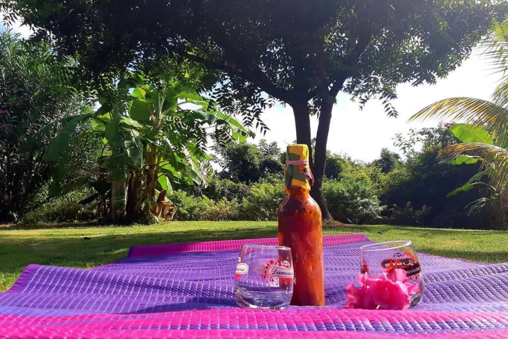 Ti Coin Relax Bungalow Vue Mer Piscine Privee Saint-Francois  Εξωτερικό φωτογραφία